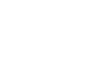 Syzygy