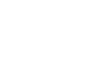 Syzygy